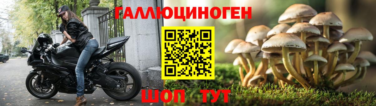 Галлюциногенные грибы GOLDEN TEACHER Куйбышев